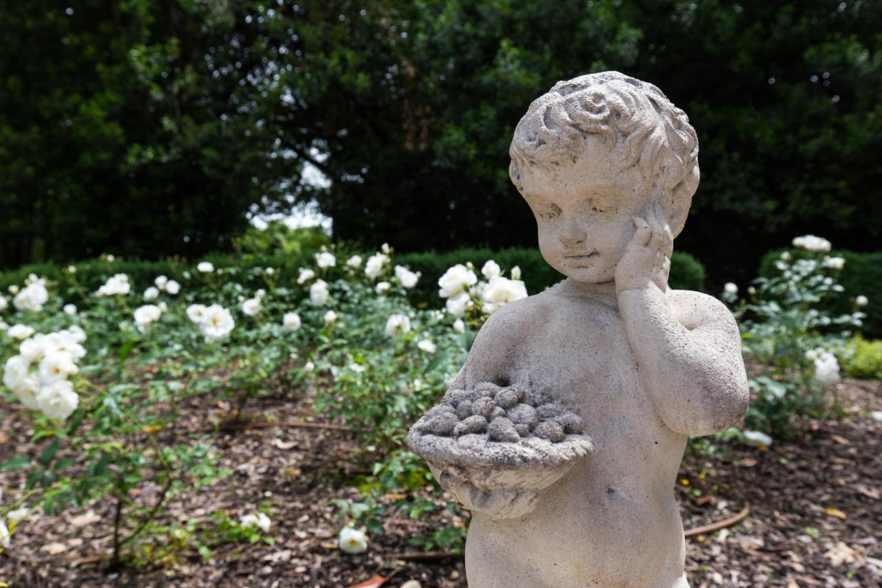 Villa Saccomani ซอมมาคัมปาญา ภายนอก รูปภาพ